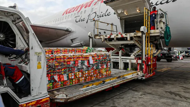 Mango cargo ready for export