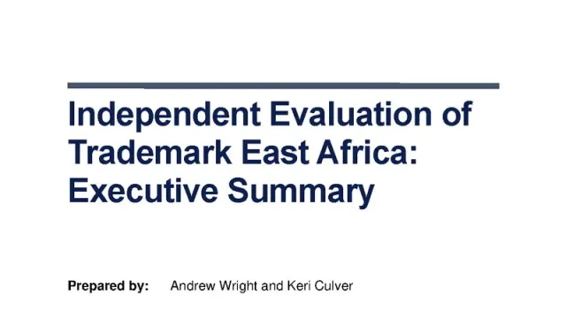 DFID Independent Evaluation – Executive Summary