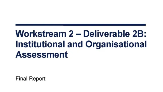 Institutional and Organisational Assessment
