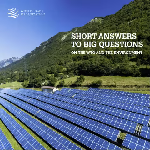 Short answers to big questions on the WTO and the environment